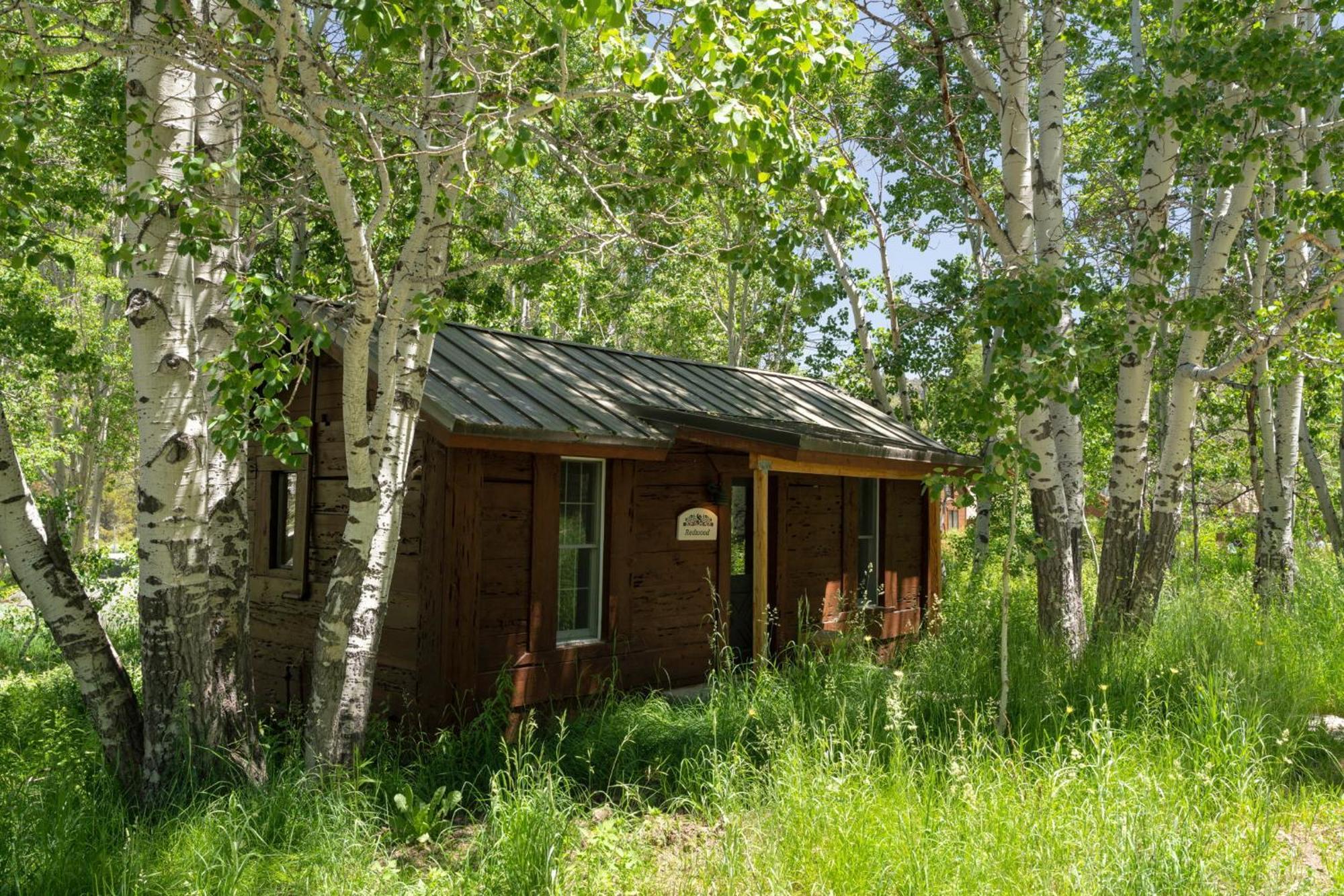 Desolation Hotel Hope Valley Markleeville Room photo